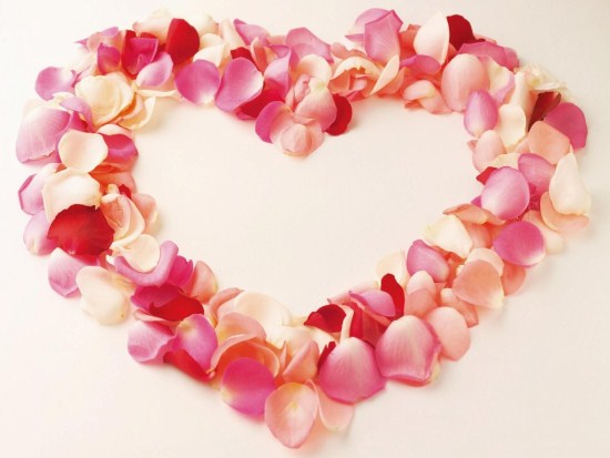 Heart made of rose petals