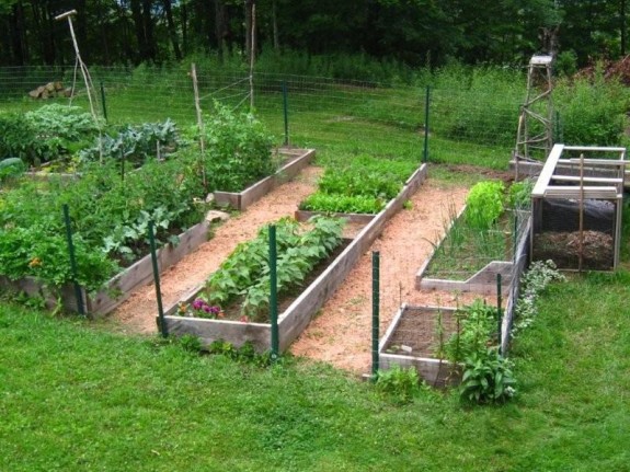 Raised Bed Gardening