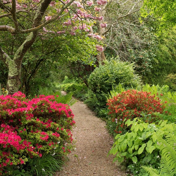 Irish Gardens at Mt Usher