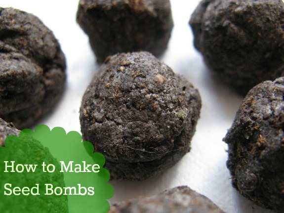 How to Make Seed Bombs