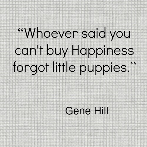 Gene Hill Puppy Happiness Dog Quote