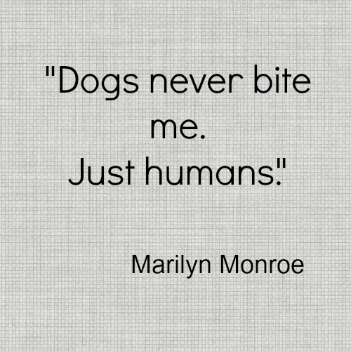 Marilyn Monroe Dog Bite Quote