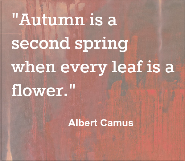 Autumn is a Second Spring Albert Camus quote